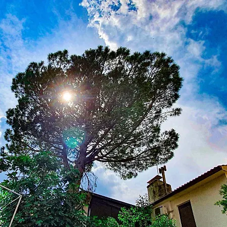 Appartamento With Terrace - Gaia - - Center Abbazia
