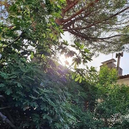 Appartamento With Terrace - Gaia - - Center *